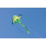 Ecoline Kinderdrachen Simple Flyer Froggy 120 cm