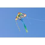 Ecoline Kinderdrachen Simple Flyer Monster Truck 120 cm