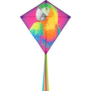 HQ Kinderdrachen Eddy Parrot