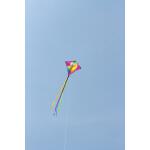 HQ Kinderdrachen Eddy Parrot 4031169307903