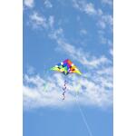 HQ Delta Rainbow Checker 2m