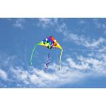 HQ Delta Rainbow Checker 2m