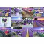 Wooden City Lavender France L