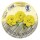 Ursus 3147512 Faltblätter Rund Uni intensiv, gelb, 100 Blatt, aus Plakatpapier, 65 g/qm, Durchmesser ca. 12 cm, durchgefärbt, ideal zum Falten von Papierblüten und blumen