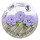 Ursus 3147561 Faltblätter Rund Uni intensiv, flieder, 100 Blatt, aus Plakatpapier, 65 g/qm, Durchmesser ca. 12 cm, durchgefärbt, ideal zum Falten von Papierblüten und blumen