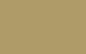 Ursus BLUMENS.20G.50x70CM,5BG.HELLBRAUN