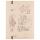 Clairefontaine Ast4 Luppe Sammelmappe GZ 24x32 st