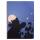 Clairefontaine Ast4 Idefix Spiralh A4 50Bl linRd