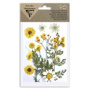 Clairefontaine Trockenblumen gepresst 12St gelb