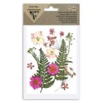 Clairefontaine Trockenblumen gepresst 12St rosa