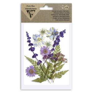 Clairefontaine Trockenblume gepresst 12St lavendel