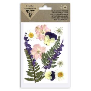 Clairefontaine Trockenblumen gepresst 12St Wiese