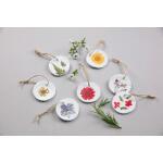 Clairefontaine Trockenblumen gepresst 12St Wiese