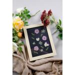 Clairefontaine Trockenblumen gepresst 12St Wiese
