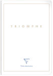 Clairefontaine Clairefontaine Triomphe GOLD 36176C...