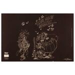 Clairefontaine Ast4 Lupe Schreibunterlage 60x40 sw