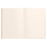 Rhodia Rhodia NB SC A5 dot titan 80Bl 90g