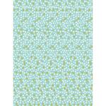 Clairefontaine 861 – 20 Blatt 30 x 40 cm