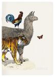 Clairefontaine Animalis Notizbuch A5 48Bl lin st
