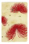 Clairefontaine Kenzo Maiko NB 11x17 32Bl lin st