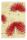 Clairefontaine Kenzo Maiko NB 11x17 32Bl lin st