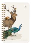 Clairefontaine Animal Spiraladressb 11x17 50Bl lin
