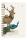Clairefontaine Animal Spiraladressb 11x17 50Bl lin