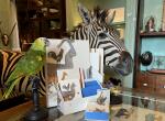 Clairefontaine Animalis Zeichenmappe 28x38 3B