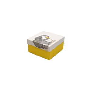 Clairefontaine Animalis 3 Boxen 25, 20, 16 cm