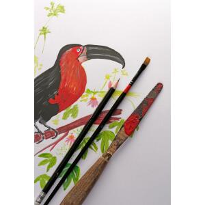 Clairefontaine PaintOn w 250g Pkg 10Bl 70x100cm