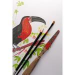 Clairefontaine PaintOn w 250g Pkg 10Bl 70x100cm