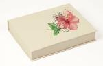Clairefontaine Clairefontaine 975903C Aqua Box A5+, Aquapad, Painton Nr. 6 & 4, Aqua Brush