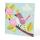 Clairefontaine Avenue Mandarine KC116C- Set Multi Activity, Kleiner Stern, 1 Set