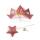 Clairefontaine Avenue Mandarine KC116C- Set Multi Activity, Kleiner Stern, 1 Set