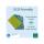 Exacompta Register A4 FOREVER YOUNG PP 12tlg 300µ