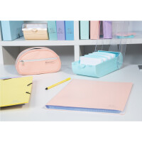 Exacompta Exacompta 5346423D Lernkartei Bunnybox Malve DIN A7 quer inklusive 100 Karteikarten. Originelle Karteikartenbox zum einfachen Vokabeln lernen dank 5-Fächer-Lernsystem für 600 Karteikarten