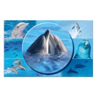 Herma Schreibunterlage Karton 55 x 35 cm Delfine