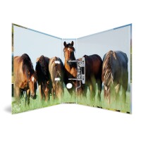 Herma Motiv-Ordner Karton A4, 7 cm Rückenbreite Pferdewiese