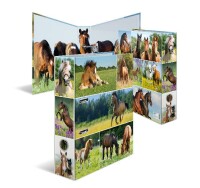 Herma Motiv-Ordner Karton A4, 7 cm Rückenbreite Pferdewiese