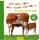 Hör mal rein, wer kann das sein? – Auf dem Bauernhof: Fühlen und hören | Die beliebteste Soundbuchreihe, hochwertiges Pappbilderbuch mit 5 realistischen Sounds und Fühlelementen für Kinder ab 18 Monaten [Board book]