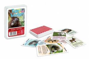ASS Altenburger 22572089 Quartett Tierkinder