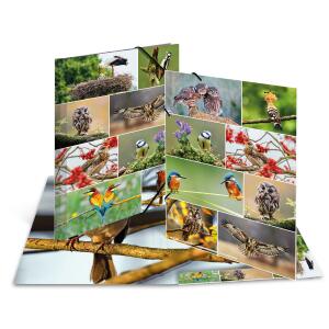 Herma Sammelmappe Eckspanner Karton A3 Heimatvögel