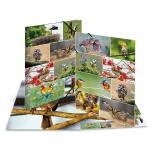 Herma Sammelmappe Eckspanner Karton A3 Heimatvögel