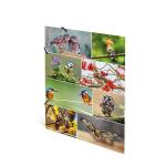 Herma Sammelmappe Eckspanner Karton A3 Heimatvögel