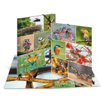 Herma Sammelmappe Eckspanner Karton A4 Heimatvögel