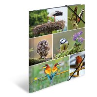 Herma Sammelmappe Eckspanner Karton A4 Heimatvögel