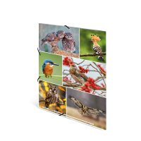 Herma Sammelmappe Eckspanner Karton A4 Heimatvögel