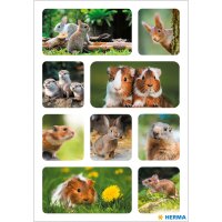 Herma Sticker DECOR Tiere Nagetiere 1 Bl