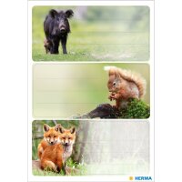 Herma Schuletiketten 76 x 35 mm Waldtiere 3 Bl 9 Etik.