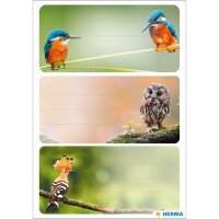 Herma Schuletiketten 76 x 35 mm Heimatvögel 3 Bl 9...